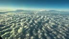 A734F271-B196-4D7B-970A-B0C1AAD0FB8F.jpeg