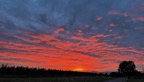 6100D942-2E86-4F5C-BD49-1E83C85BB67C.jpeg